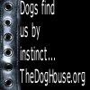DogHouse 100x100